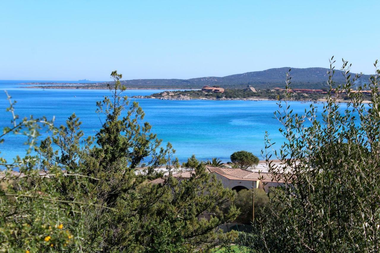 Casa Vacanze Il Cisto - Golfo Di Marinella Villa Порто Ротондо Екстериор снимка